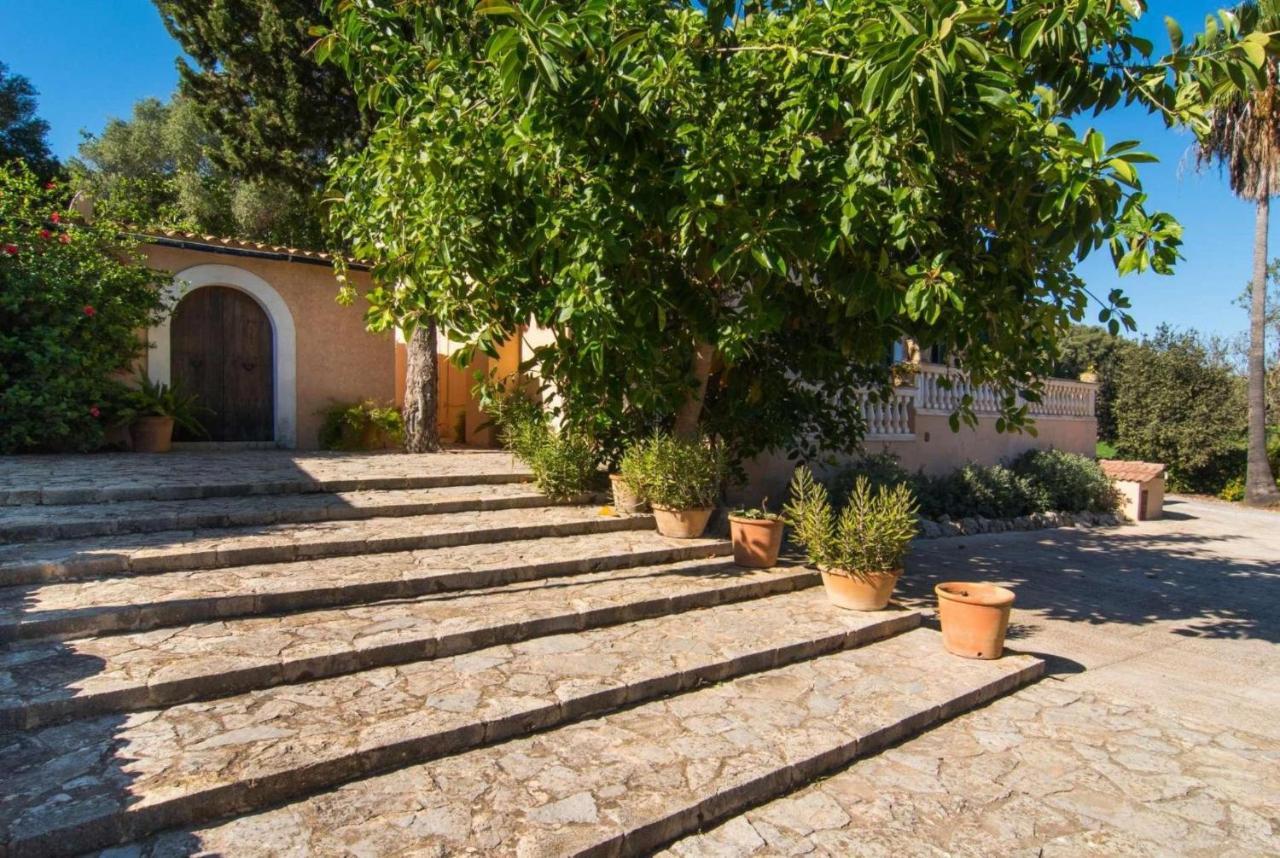 Son Simo Dalt * Alcudia (Mallorca)